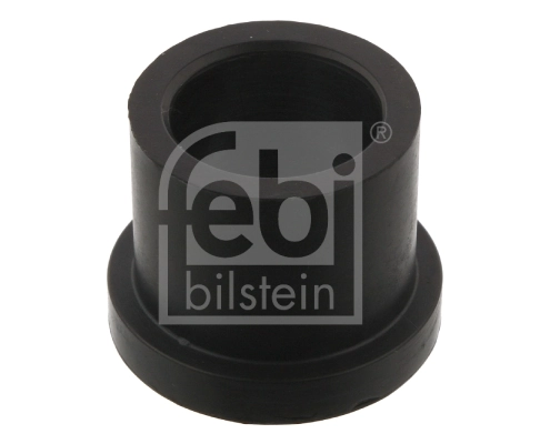 Bushing, leaf spring